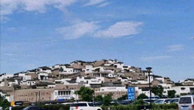 舟山自贸区发展迅猛，物产中大与之有何关联？