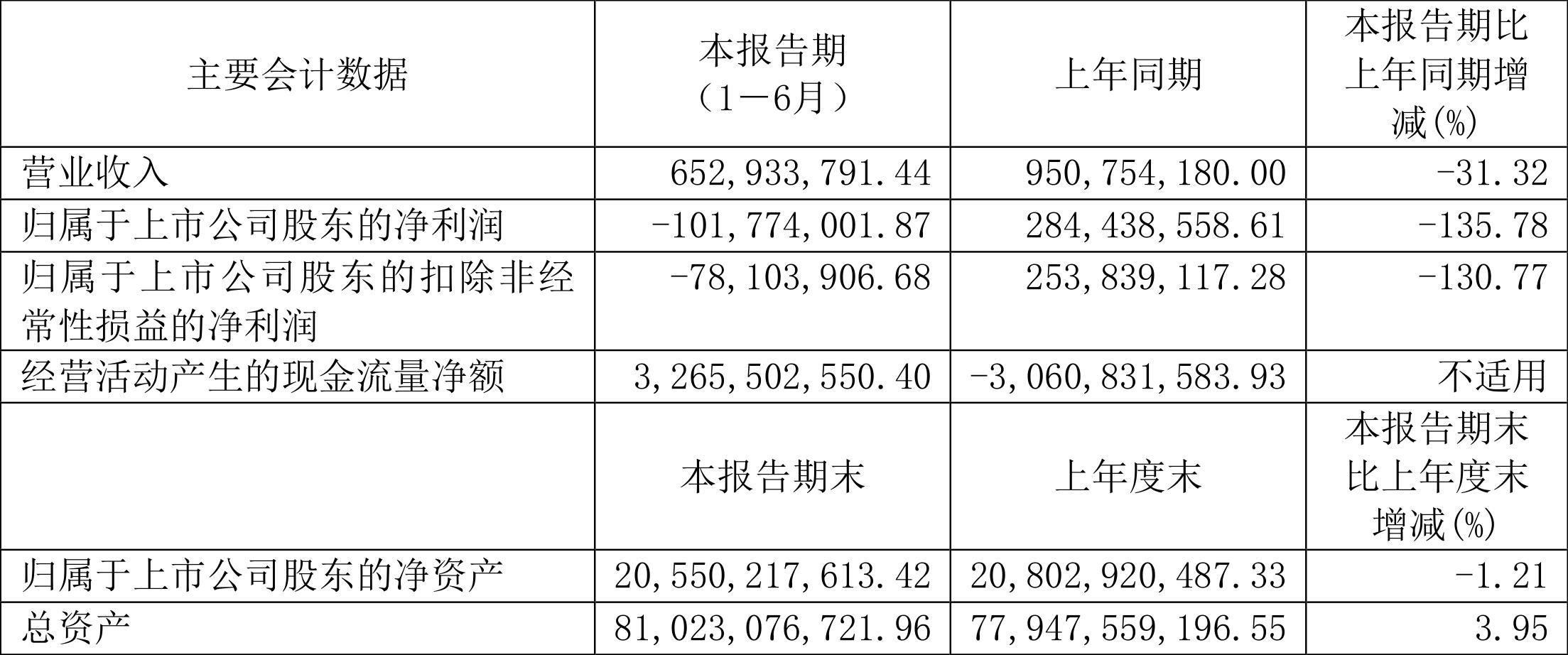 城投控股财务状况分析_城投控股投资价值_城投控股2024年半年度报告