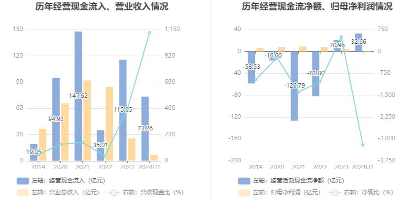 城投控股财务状况分析_城投控股投资价值_城投控股2024年半年度报告