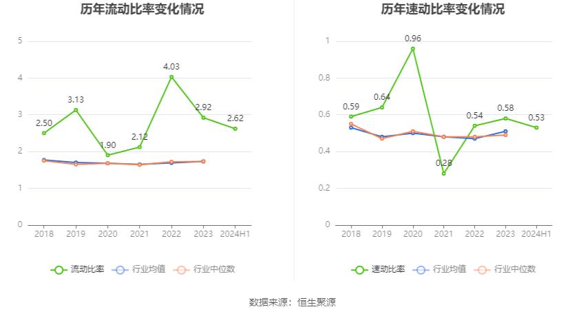 城投控股财务状况分析_城投控股2024年半年度报告_城投控股投资价值