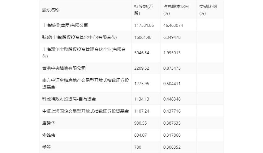 城投控股投资价值_城投控股财务状况分析_城投控股2024年半年度报告