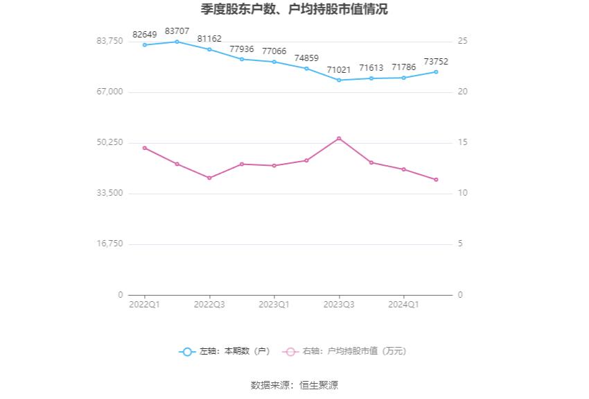 城投控股财务状况分析_城投控股2024年半年度报告_城投控股投资价值