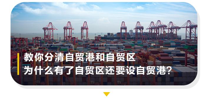 物产中大与舟山自贸区_海南自贸港建设_中国特色自由贸易港