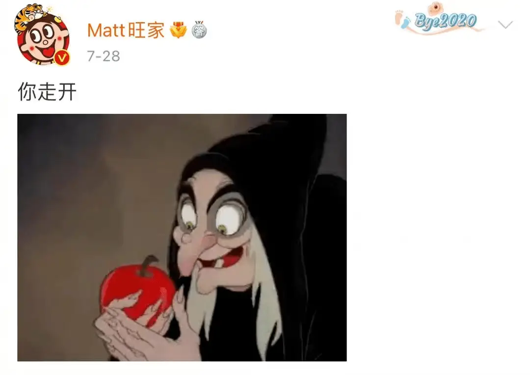 旺旺医院_旺旺集团爱国立场_蔡旺家微博内涵台独