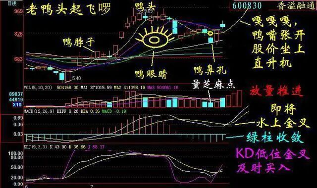 股票上涨点数_股票涨10个点是多少_股票涨的点数怎么算的