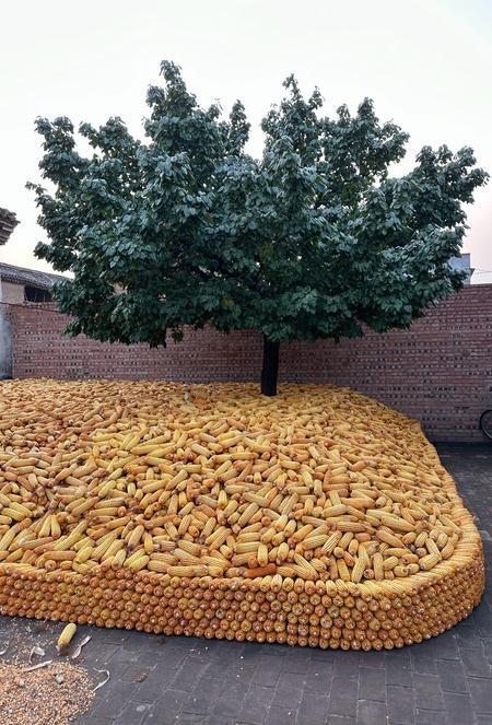 农村低成本养羊_农户如何养猪赚钱_76岁老农养羊年赚一万