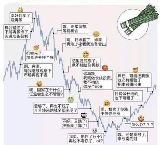 新股发行散户机构差异_散户炒股心理_打新政策市值配售资金要求