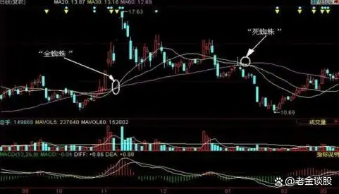 金蜘蛛主图指标公式_均线缠绕交易系统_金蜘蛛均线形态