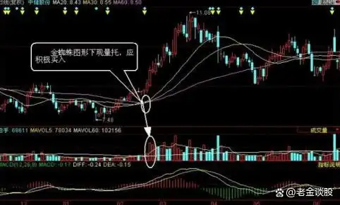 金蜘蛛均线形态_金蜘蛛主图指标公式_均线缠绕交易系统