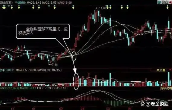 均线缠绕交易系统_金蜘蛛主图指标公式_金蜘蛛均线形态