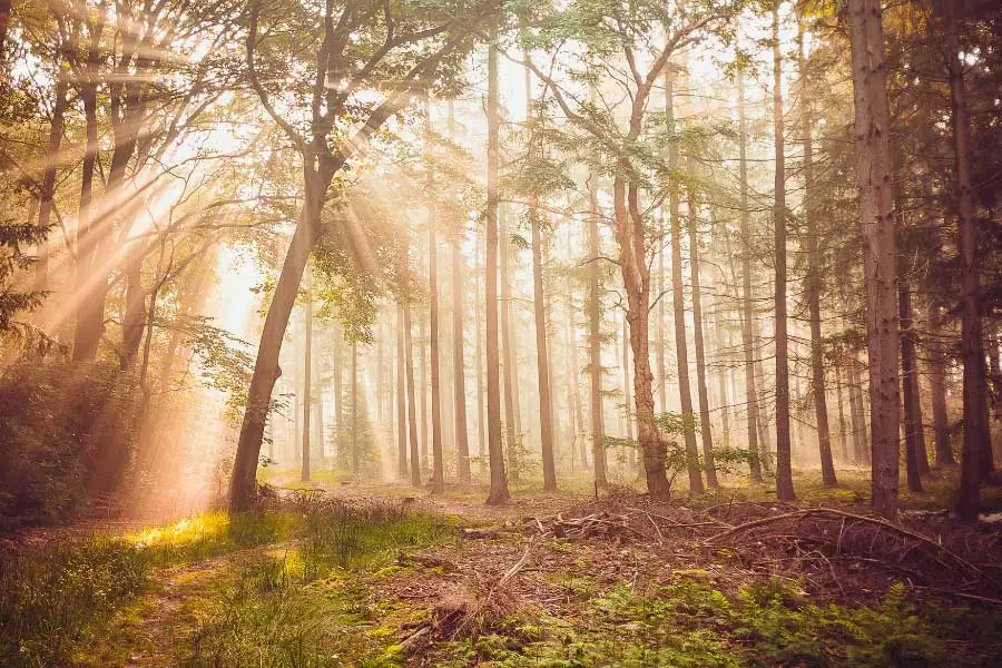 首次公开募股路演_电影主创团队分享_新电影路演活动