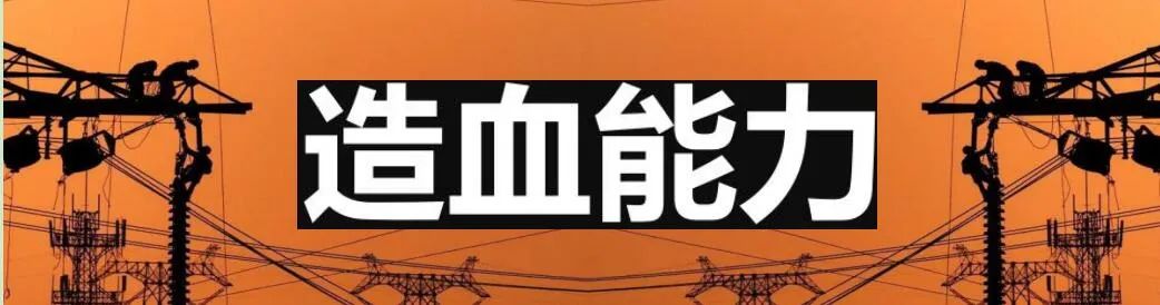 国家电网与南方电网对比分析_新能源电力系统改革_国电海南分公司